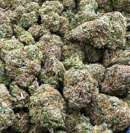 Sherblato Cannabis-Sorte zum Online-Verkauf in München, Deutschland