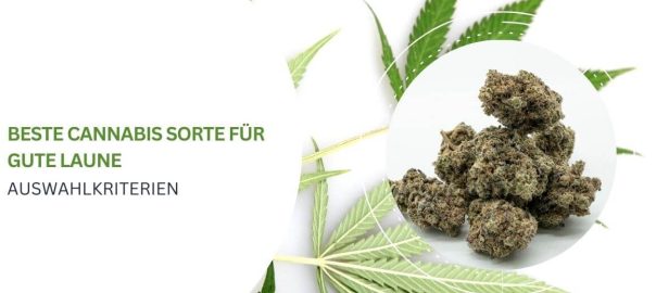 Die besten Cannabisprodukte des Jahres 2026