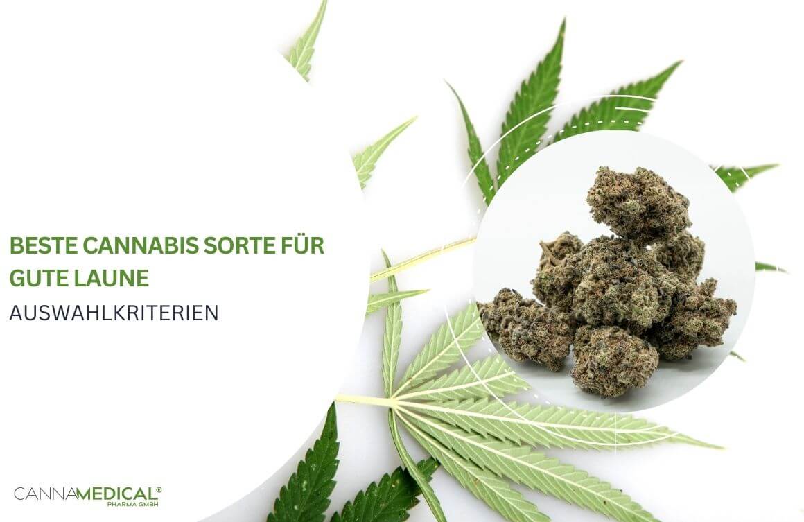 Die besten Cannabisprodukte des Jahres 2026