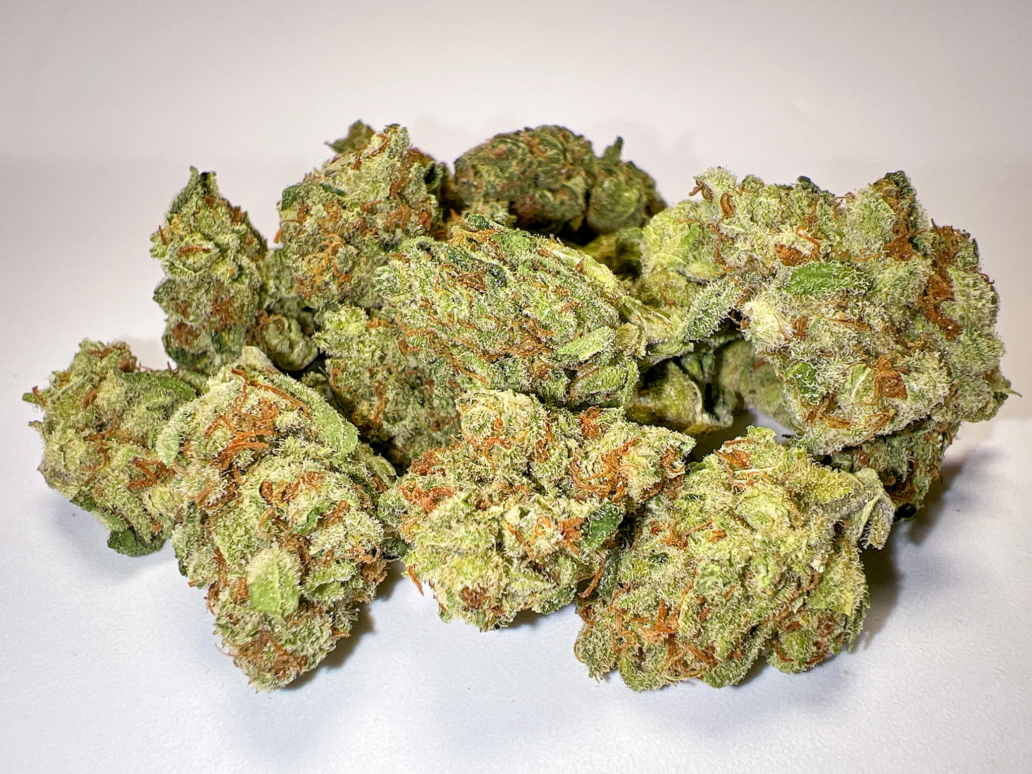 Girl Scout Cookies Cannabis-Sorte zum Verkauf in Hamburg, Deutschland