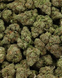 Blue Dream Strain
