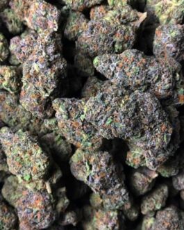 Gelato Strain