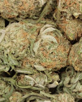 Gelato Strain