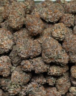 Pink Runtz Strain