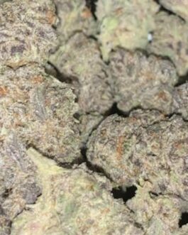 White Runtz Strain