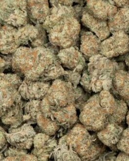 Girl Scout Cookies Strain