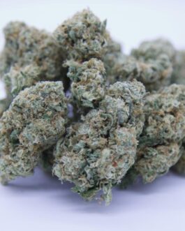Gorilla Glue Strain
