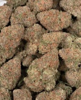 Cherry Punch Strain