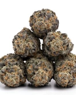 Cherry Punch Strain