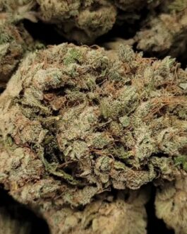 Jack Herer Strain