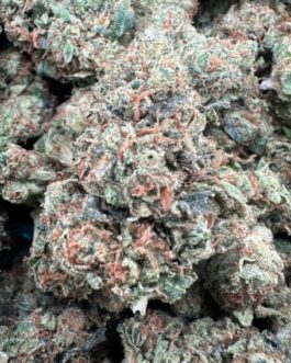 Jack Herer Strain