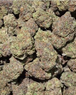 Ice Cream Cake Strain
