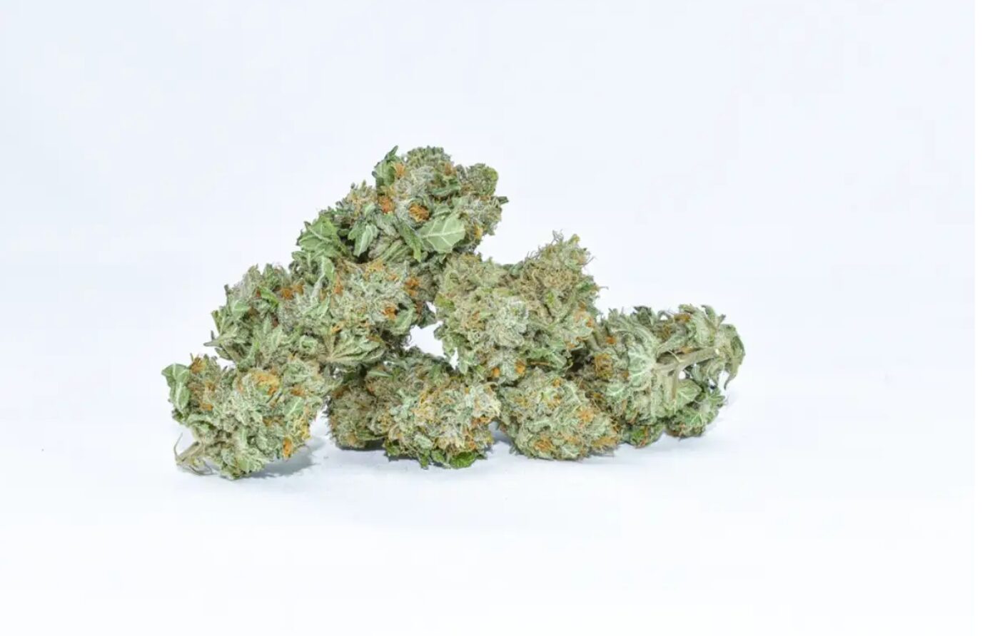White Widow Strain - Image 3