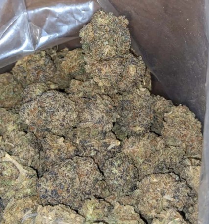 obtaining White Widow Cannabis Strain in brisbane australia