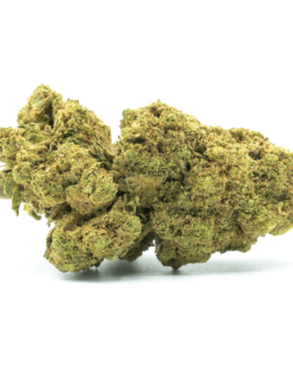 White Widow Strain