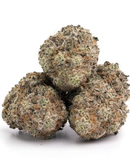 Banana Punch Strain