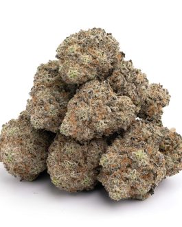 Banana Punch Strain