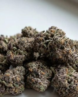 Purple Punch Strain