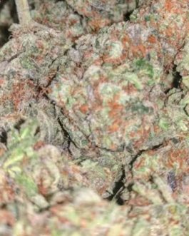 Purple Punch Strain