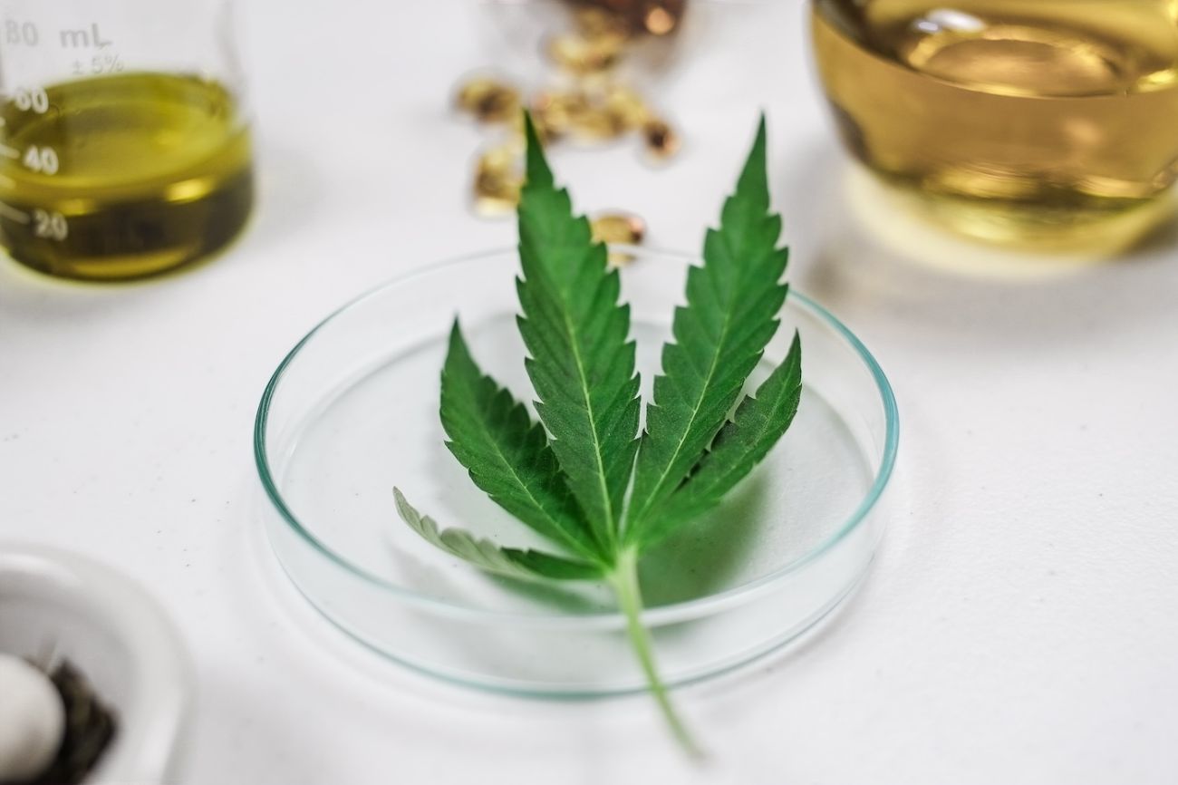 Quelle est la meilleure huile de cannabis pour le cancer ?